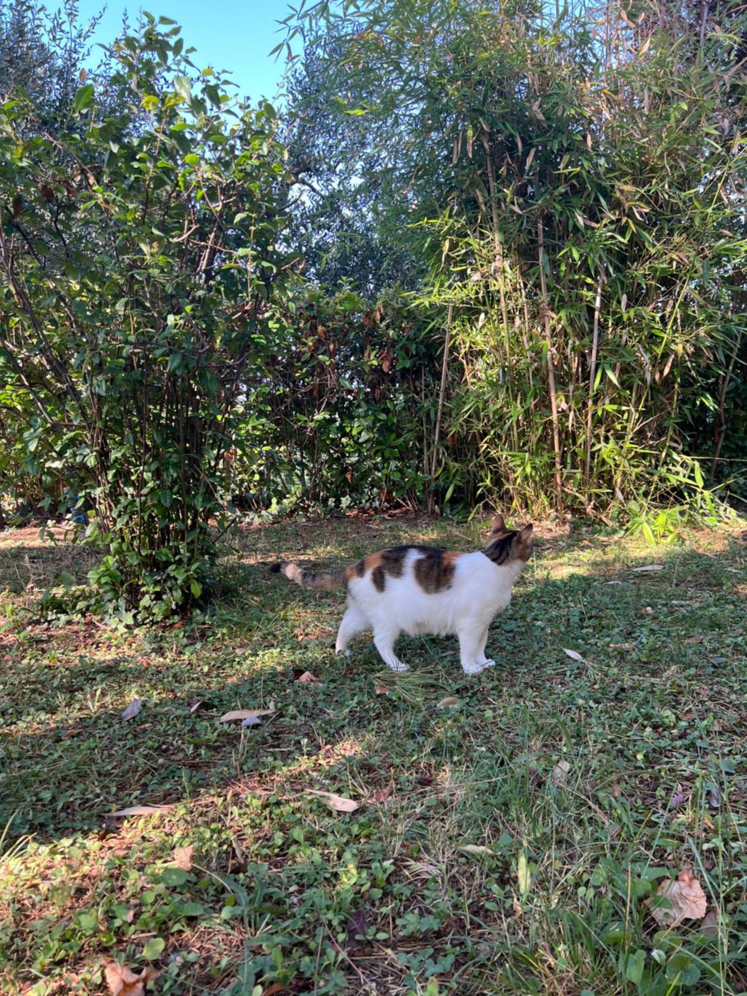 阿夸维瓦Casa Isidora公寓 外观 照片